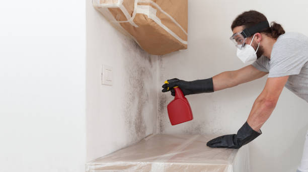 Professional Bathroom Mold Removal technician working in Valrico, FL