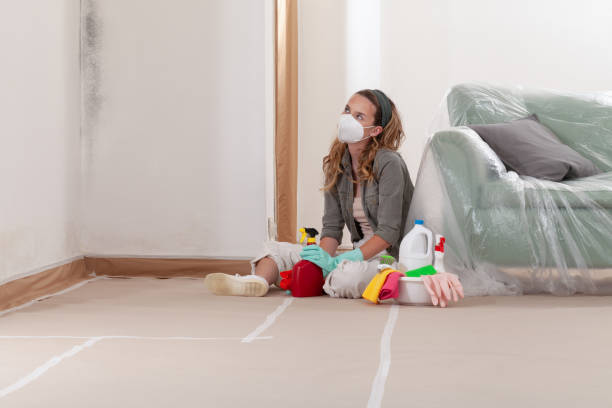 Reliable Bathroom Mold Removal contractor in Valrico, FL by WQB Mold Removal